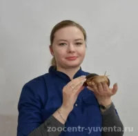 Сапегина Екатерина Николаевна